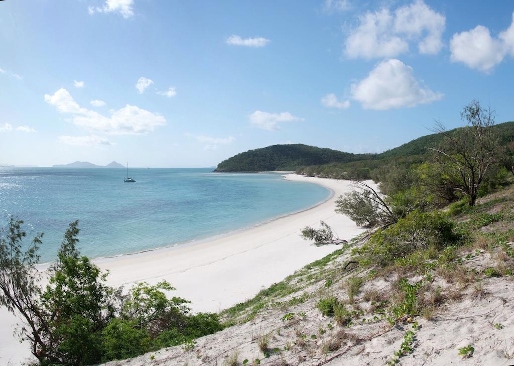 Apartament Poinciana 112 Hamilton Island Zewnętrze zdjęcie