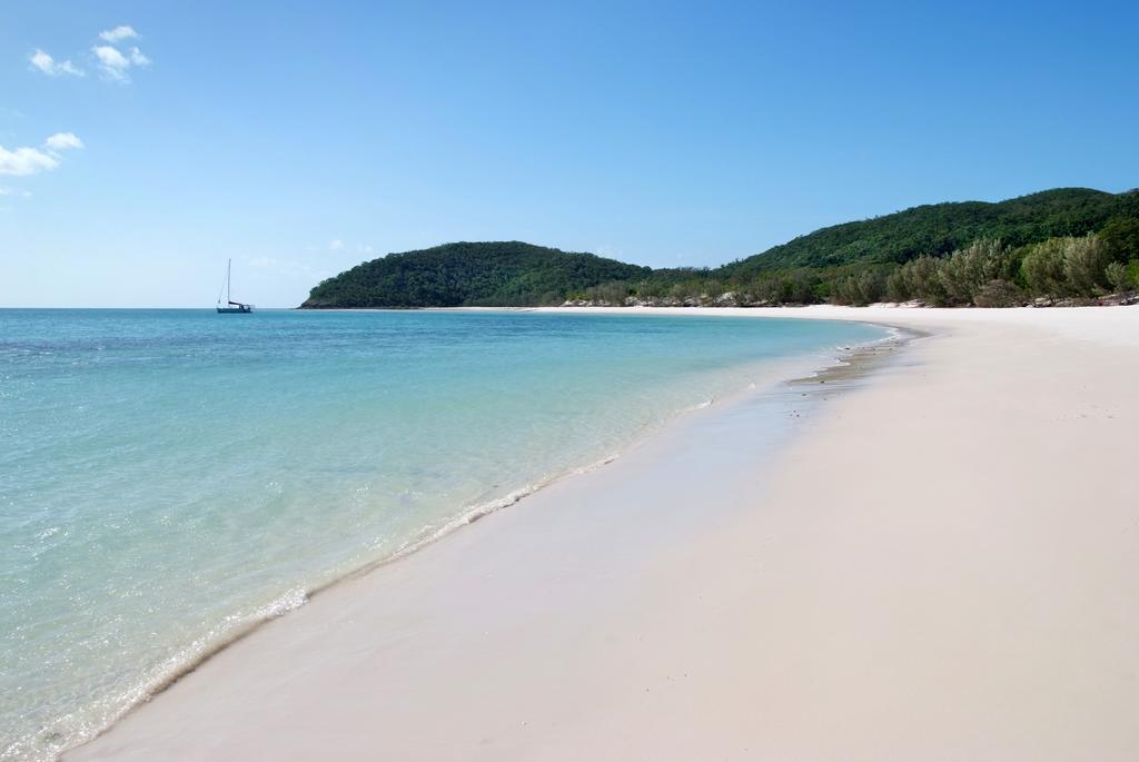 Apartament Poinciana 112 Hamilton Island Zewnętrze zdjęcie